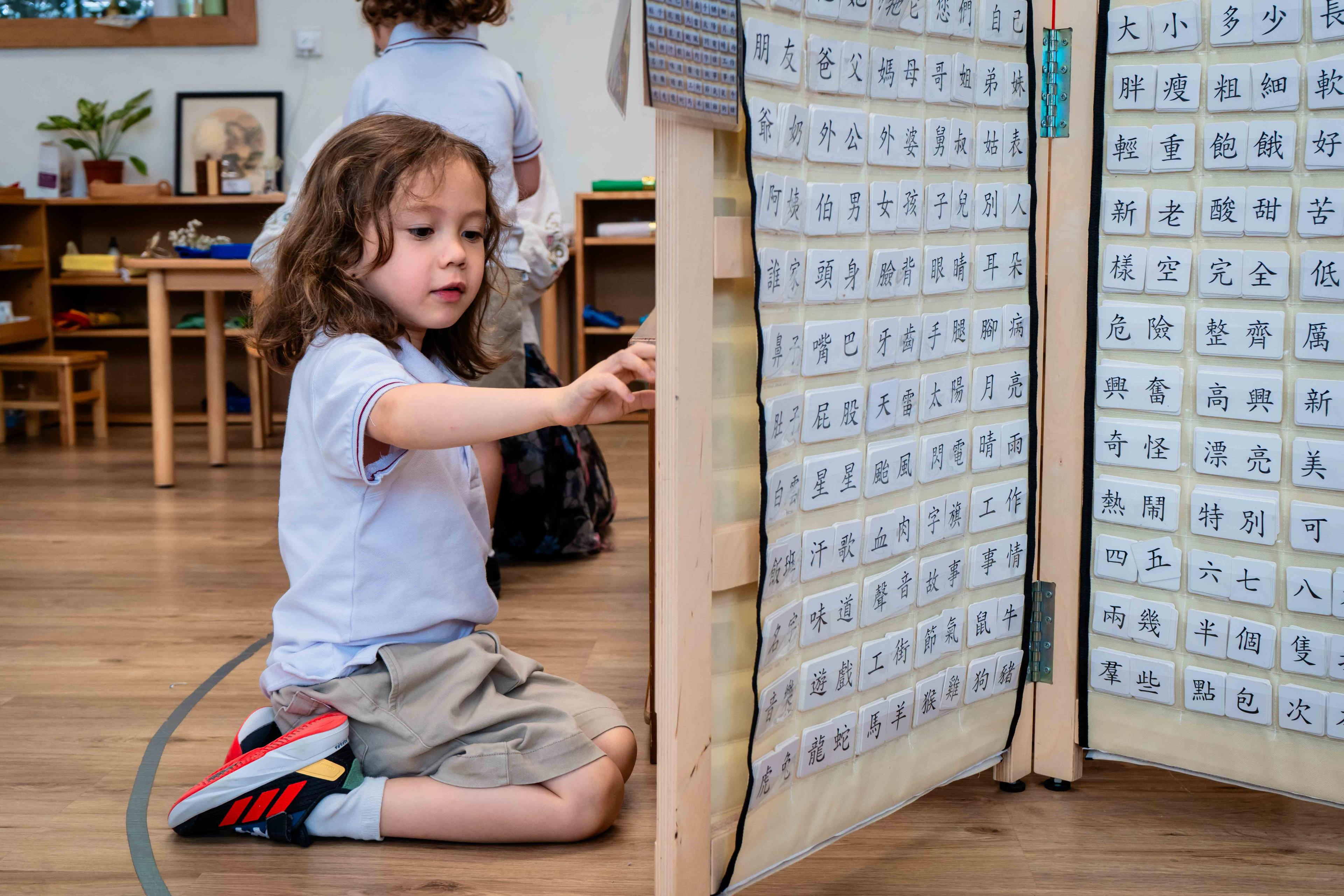Parent Education: Language (3 - 6)