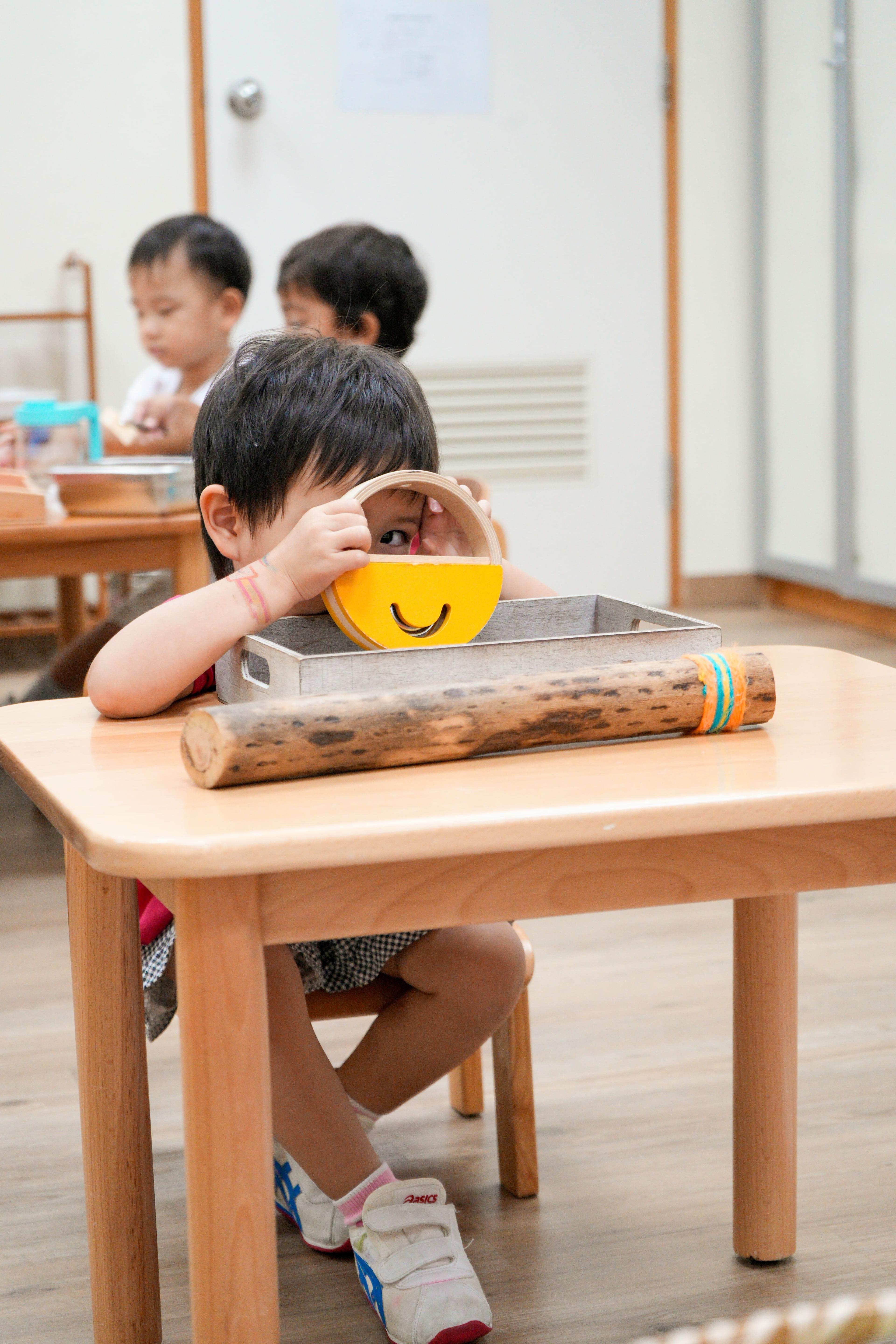 Montessori Trial - Mid-Levels