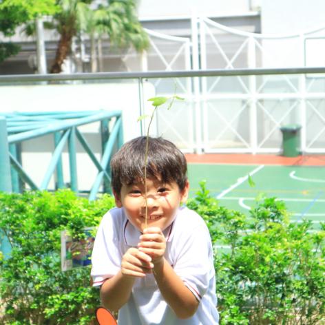 Parent Education: Enrichment (6-12)